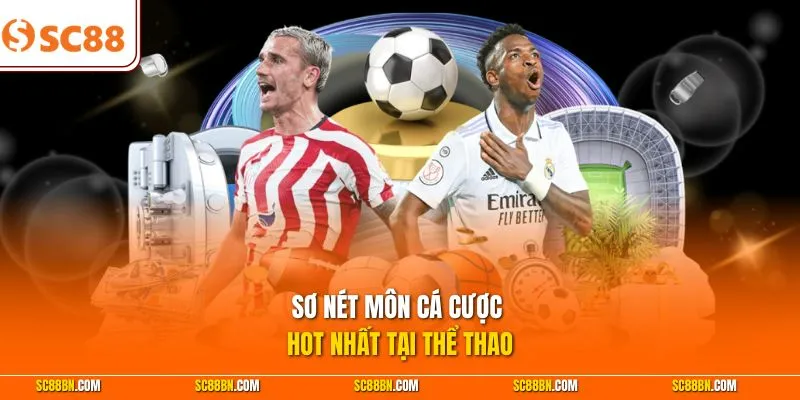 Sơ nét môn cá cược hot nhất tại thể thao